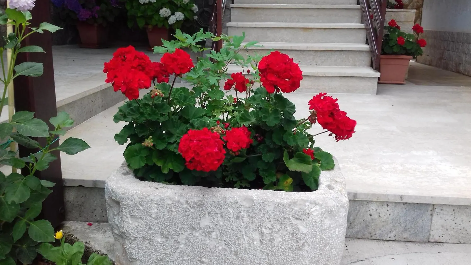 Apartmani Polonijo Nada Krk Town Apartment